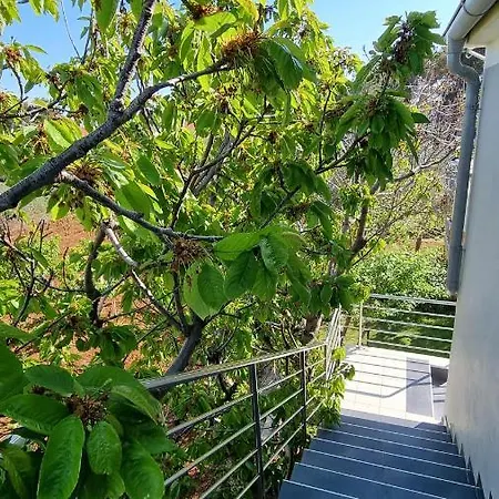 Apartman Sara - فير